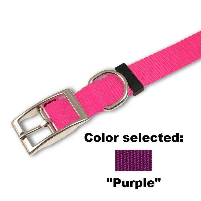Traditional Dog Collar - 1" Width, - Lucky Pet